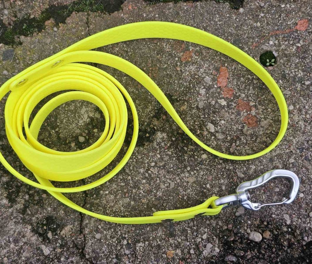 Geltonas neoninis HEXA pavadėlis (2 cm pločio)