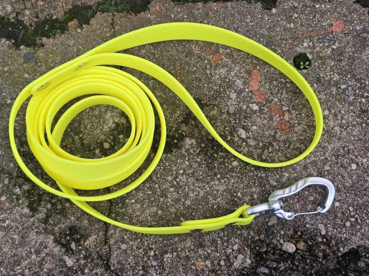 Geltonas neoninis HEXA pavadėlis (2 cm pločio)