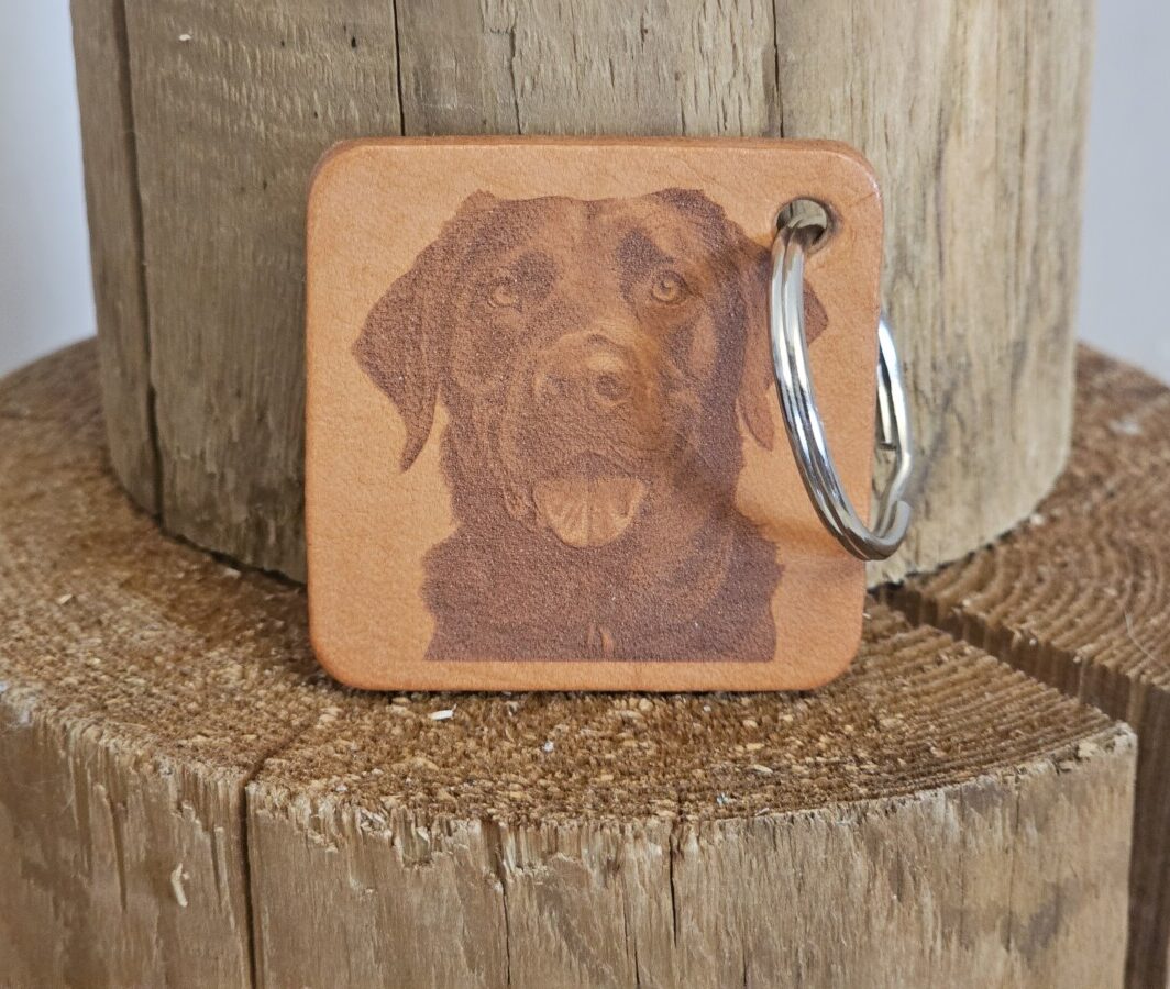 Labradoras